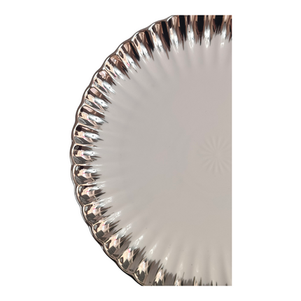 Set of 12 Elegant Round Plates with Silver Rim ✨ Modern and Sophisticated Tableware