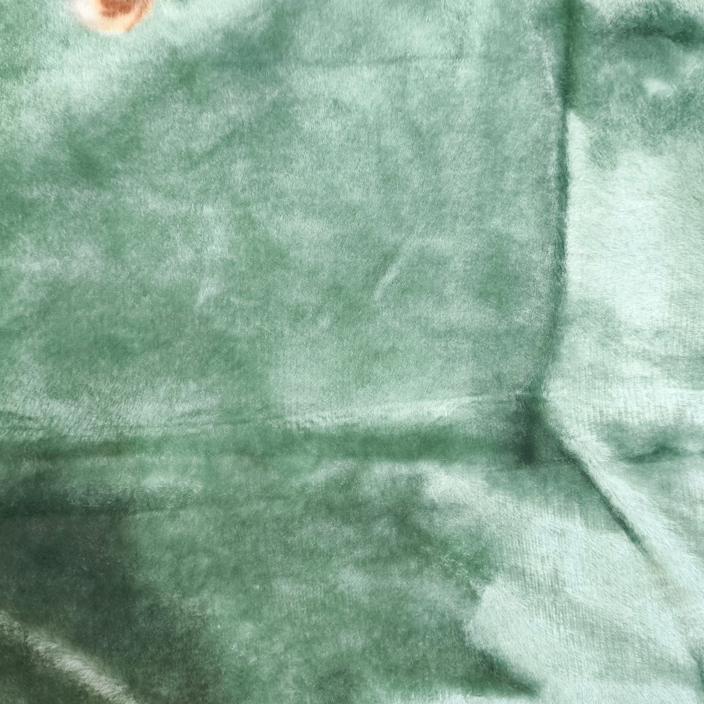 Manta de Felpa Color verde con flores - Extra Suave y Cálida para Invierno (200x230 cm, 4,5 kg)