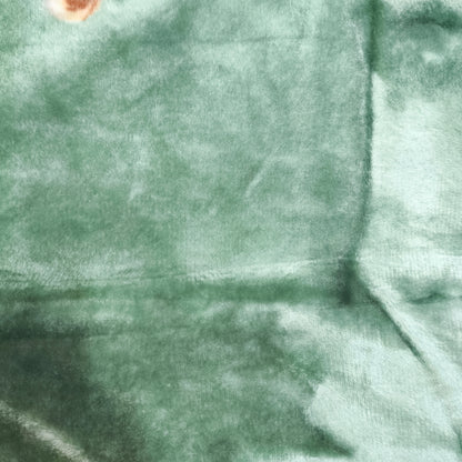 Manta de Felpa Color verde con flores - Extra Suave y Cálida para Invierno (200x230 cm, 4,5 kg)